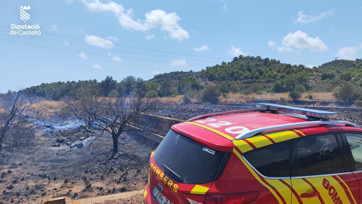 Así ha quedado el terreno tras el incendio forestal declarado en la Vall d'Uixó esta mañana.