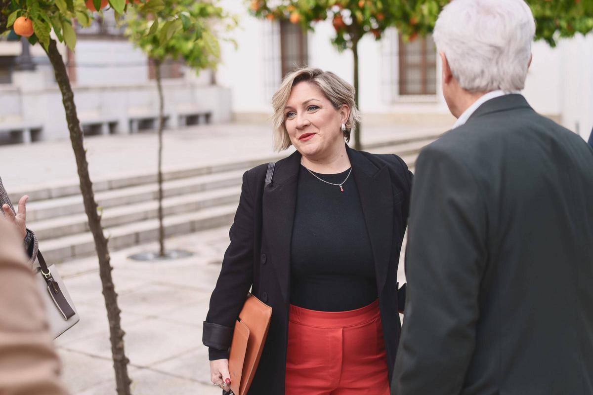 Fotogalería | El pleno de la Asamblea de Extremadura en imágenes
