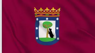 No se trata de un oso: este el verdadero animal que se apoya en el madroño en el escudo de Madrid