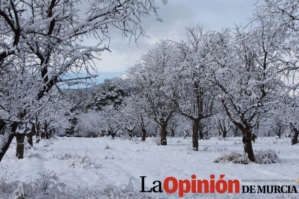 Nieve en el Noroeste