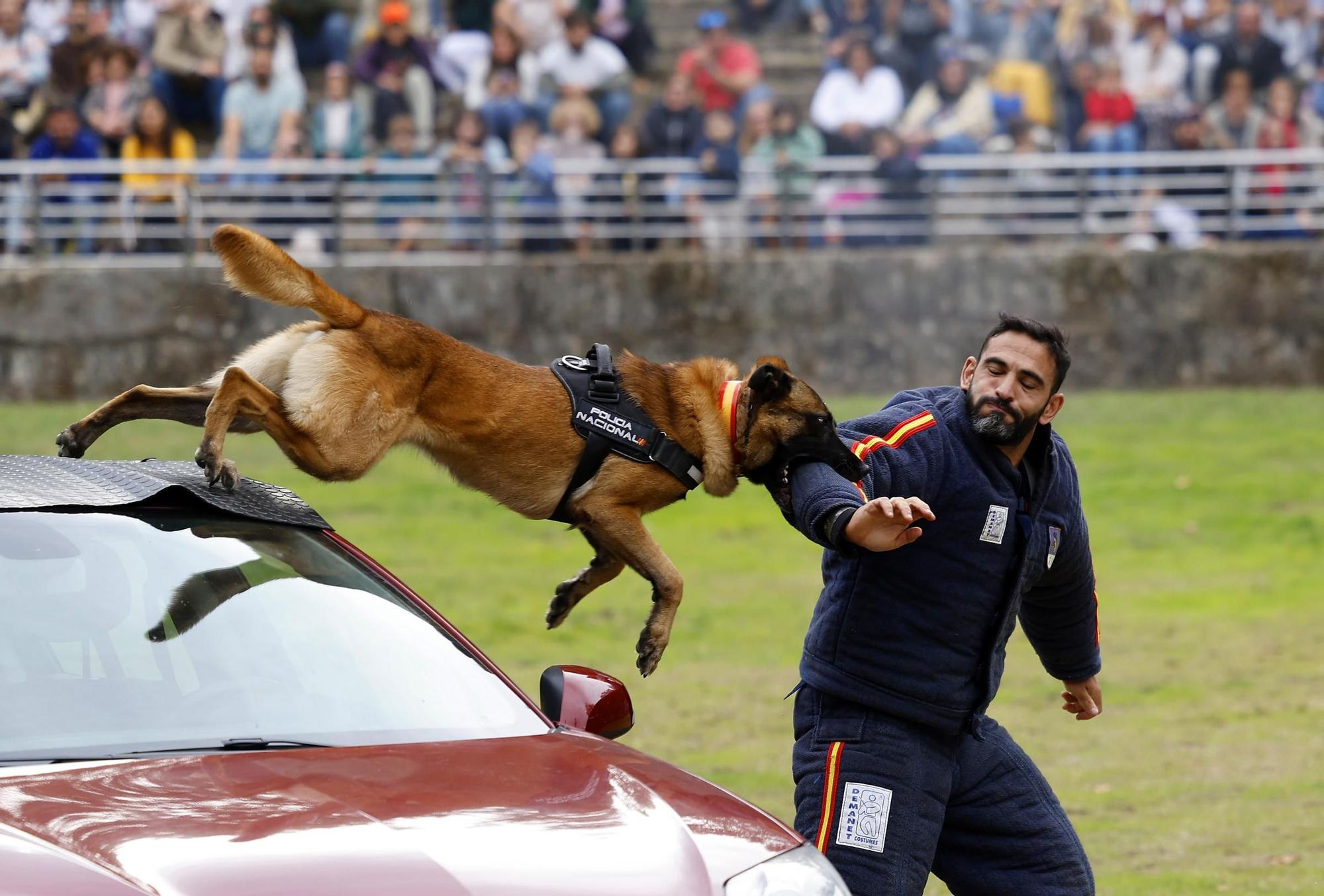 Exhibición de la Policía Nacional en el auditorio de Castrelos en Vigo