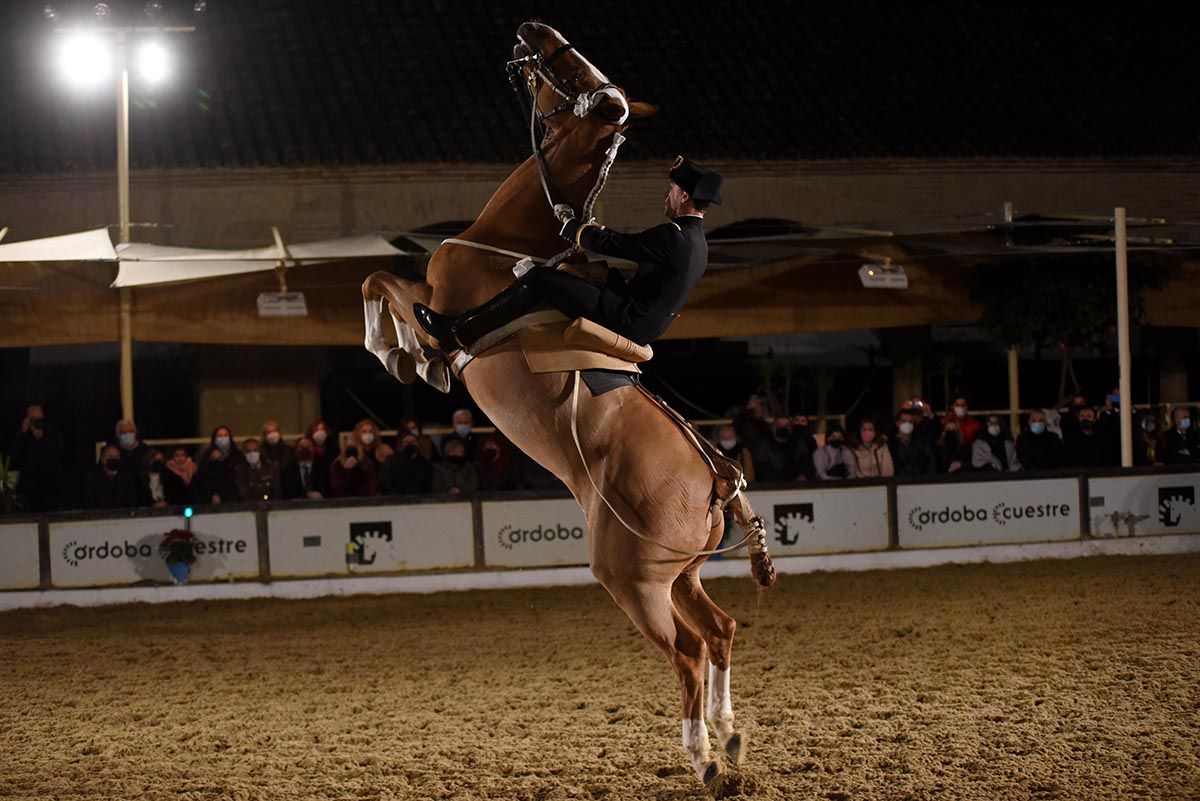 La escuela francesa de equitación Cadre Noir celebra en Córdoba el 25 aniversario de Cabalcor