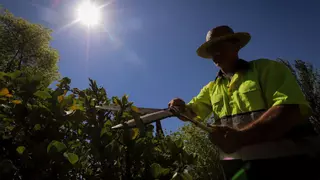 IU pide a la Diputación de Córdoba protocolos contra el calor extremo en centros y empresas públicas