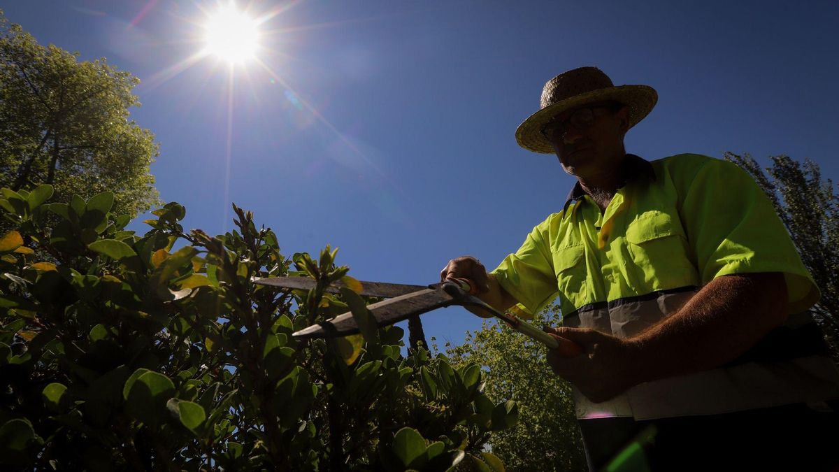 Un jardinero trabaja a pleno sol en Córdoba.