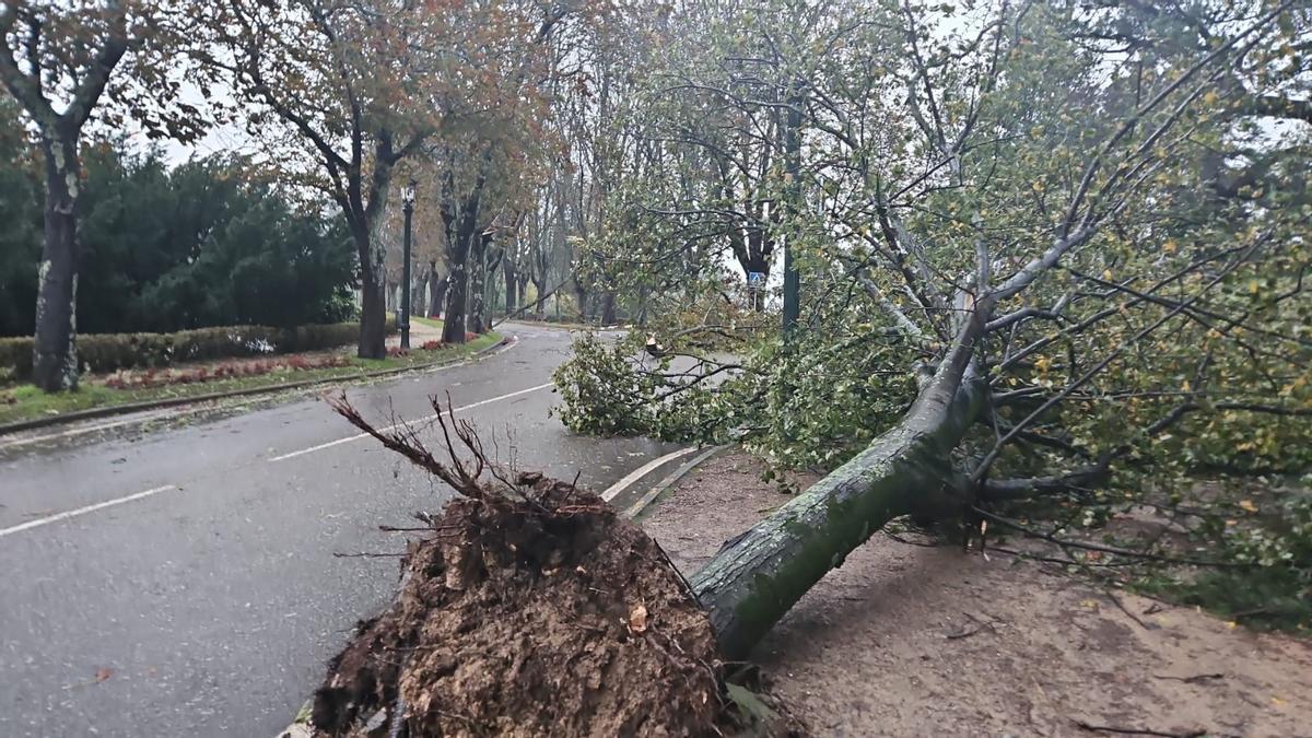 Vigo ya sufre la borrasca Kirk