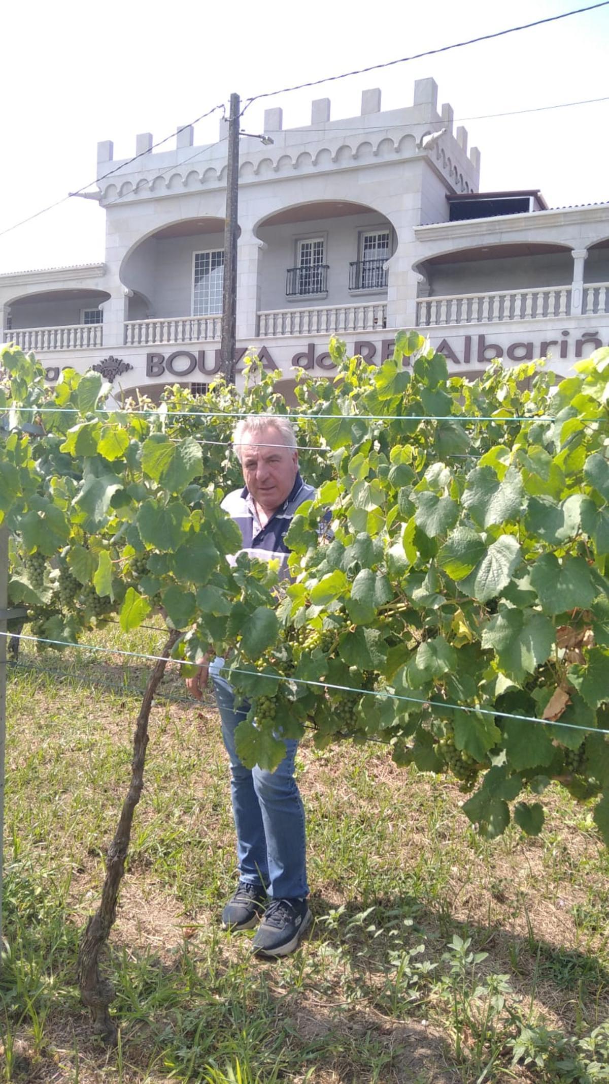 El presidente de Rías Baixas supervisando sus viñedos, ayer.