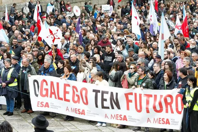 Día das Letras Galegas: multitudinaria manifestación en Santiago