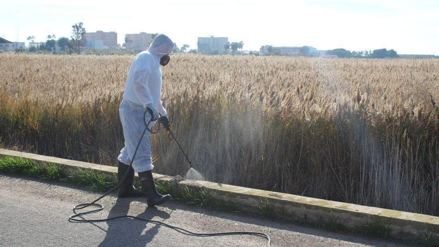 Diputación busca desbloquear el plan antimosquitos ante la plaga