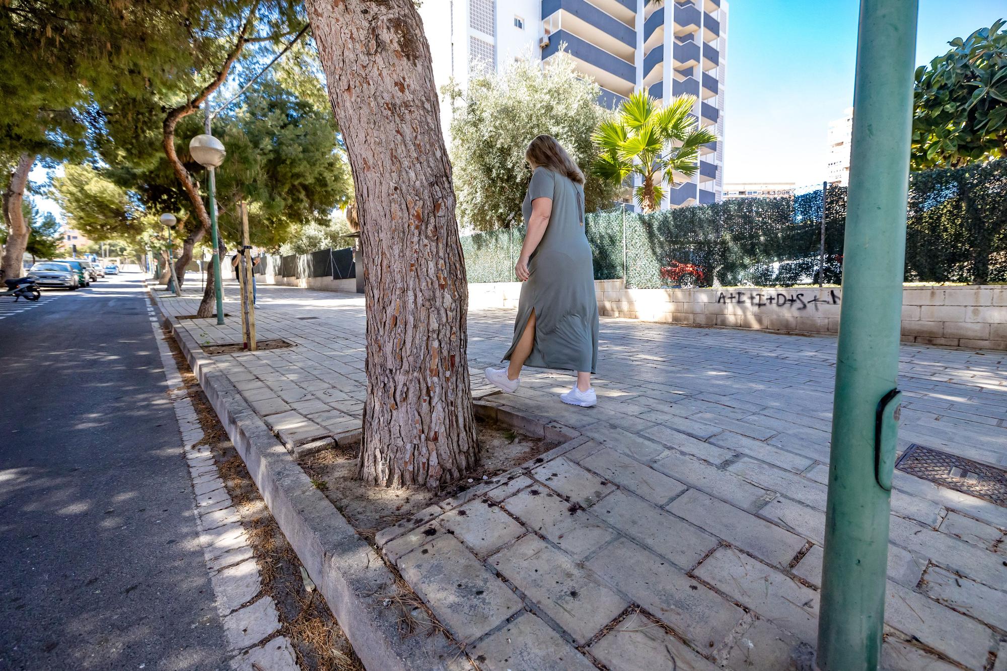 Un bosque invade una calle de la Playa de San Juan