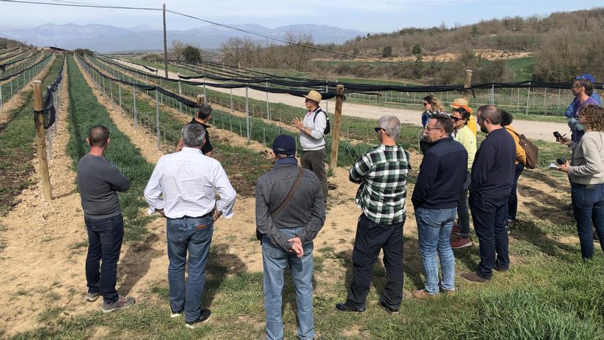 Agricultura per esmorteir la sequera