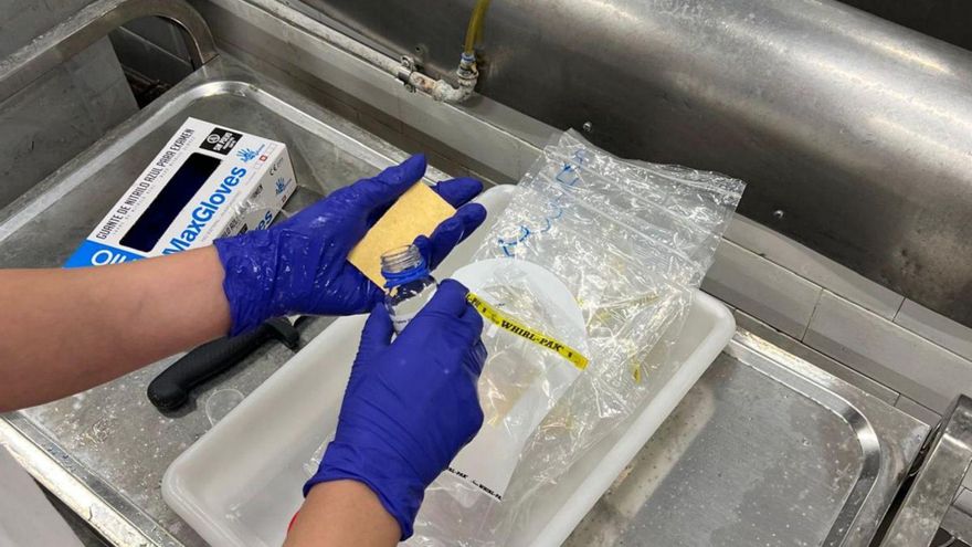 Salud incrementa un 28% los análisis para vigilar la salmonela