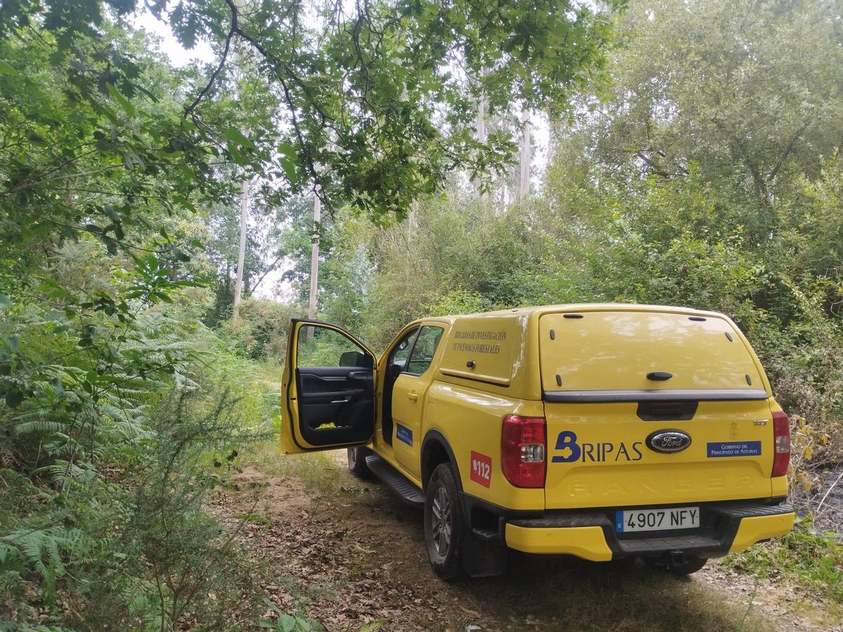 Un vehículo de las Brigadas de Investigación de Incendios Forestales (BRIPAS) de Bomberos de Asturias en el área del incendio de San Pelayo de Sienra, ya controlado.