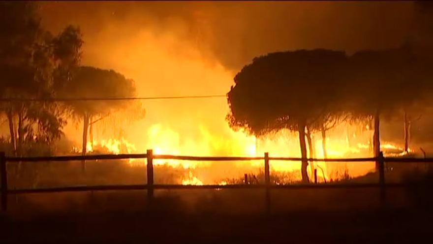 Vídeo / El incendio de Moguer alcanza Doñana