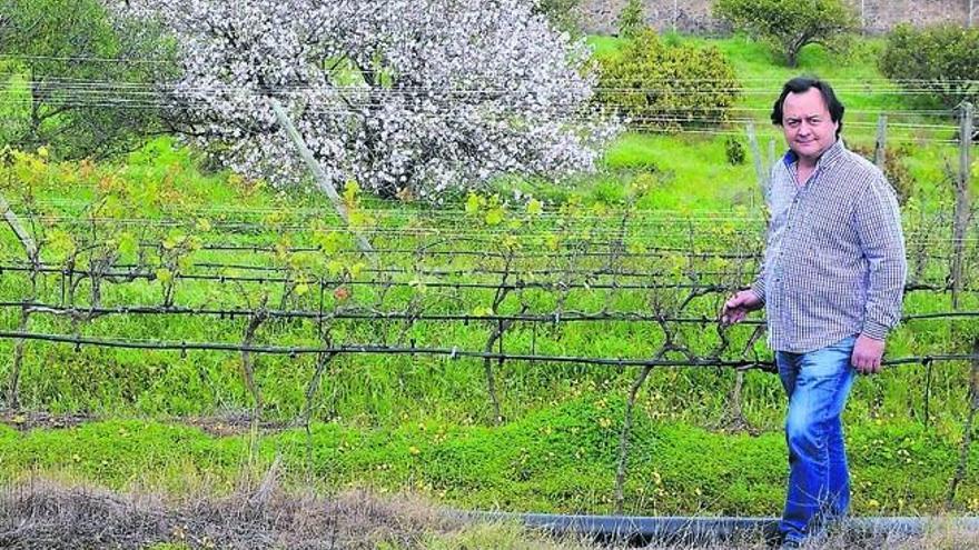 El propietario de La Higuera Mayor, Luis López Parres, en los viñedos de la finca de El Palmital de Telde.