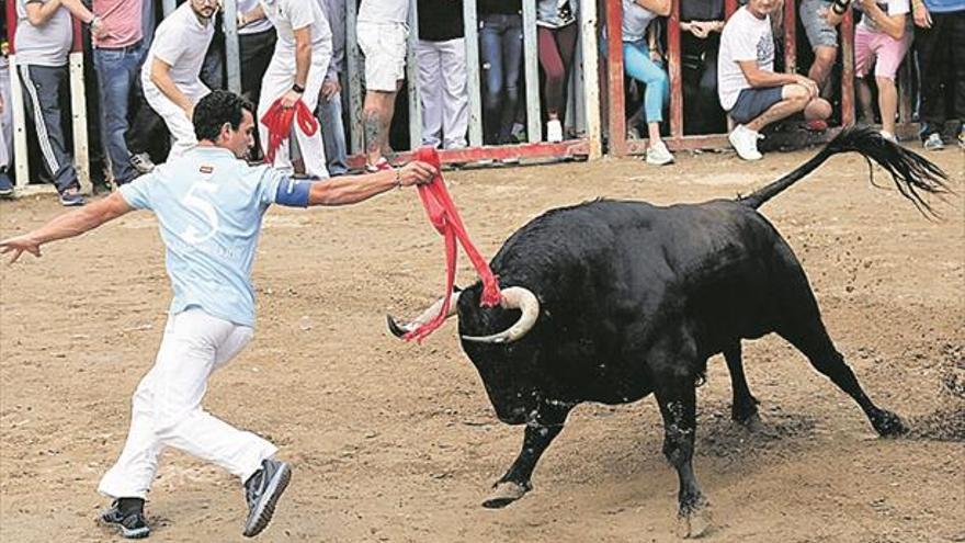 Almassora exhibirá 5 cerriles el primer día de toros del Roser