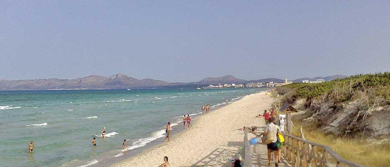 La playa de Muro ha sido elegida como la mejor.