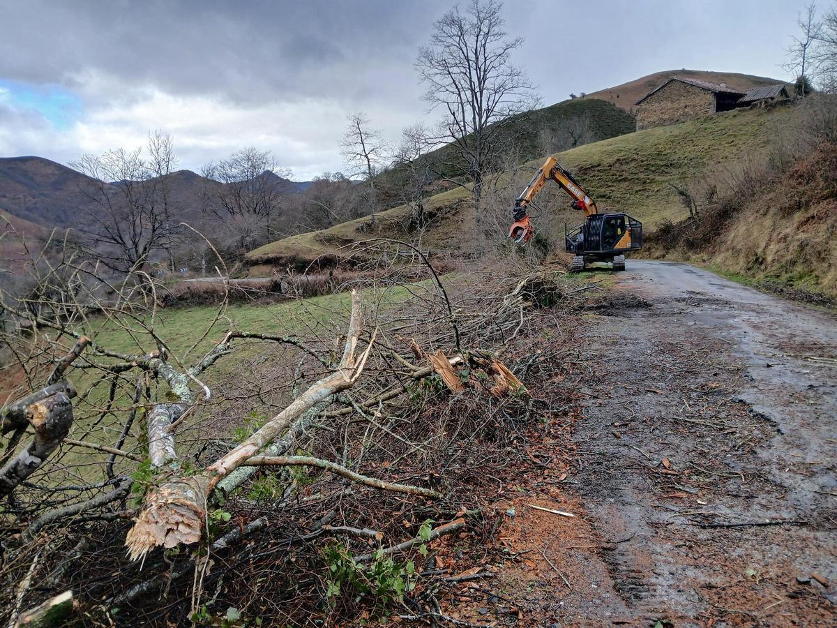 Una máquina trabajando el la zona.