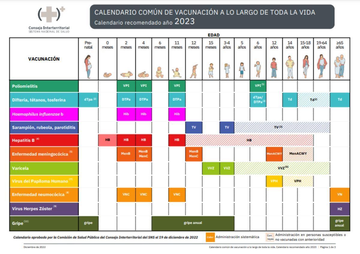 Calendario vacunacional a lo largo de toda la vida