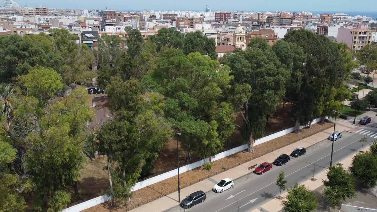 Vista de los jardines de Gerencia que se va a acondicionar.