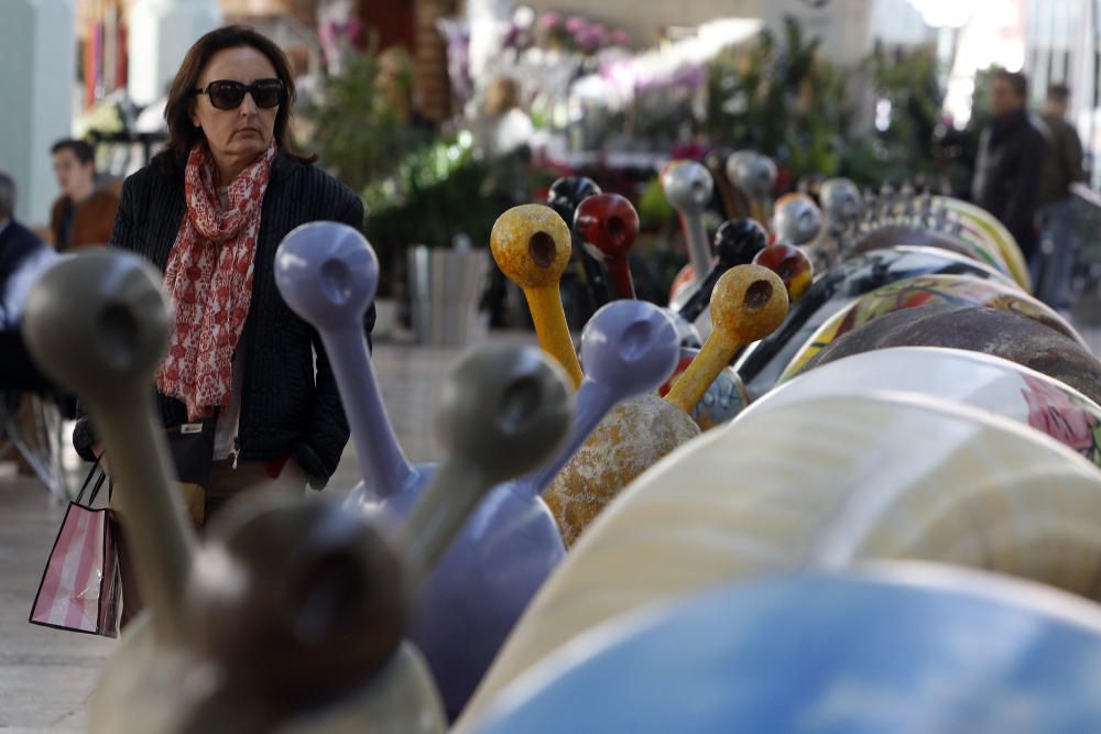 Exposición de caracoles gigantes en el mercado de Colón