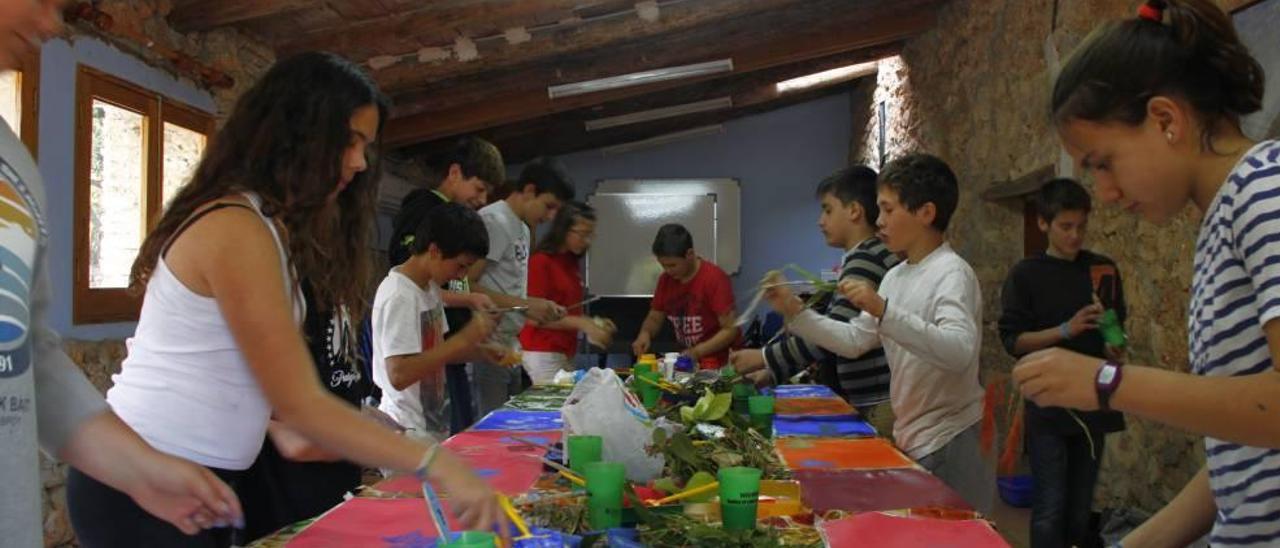 Els alumnes durant una de les activitats organitzades a Binicanella.