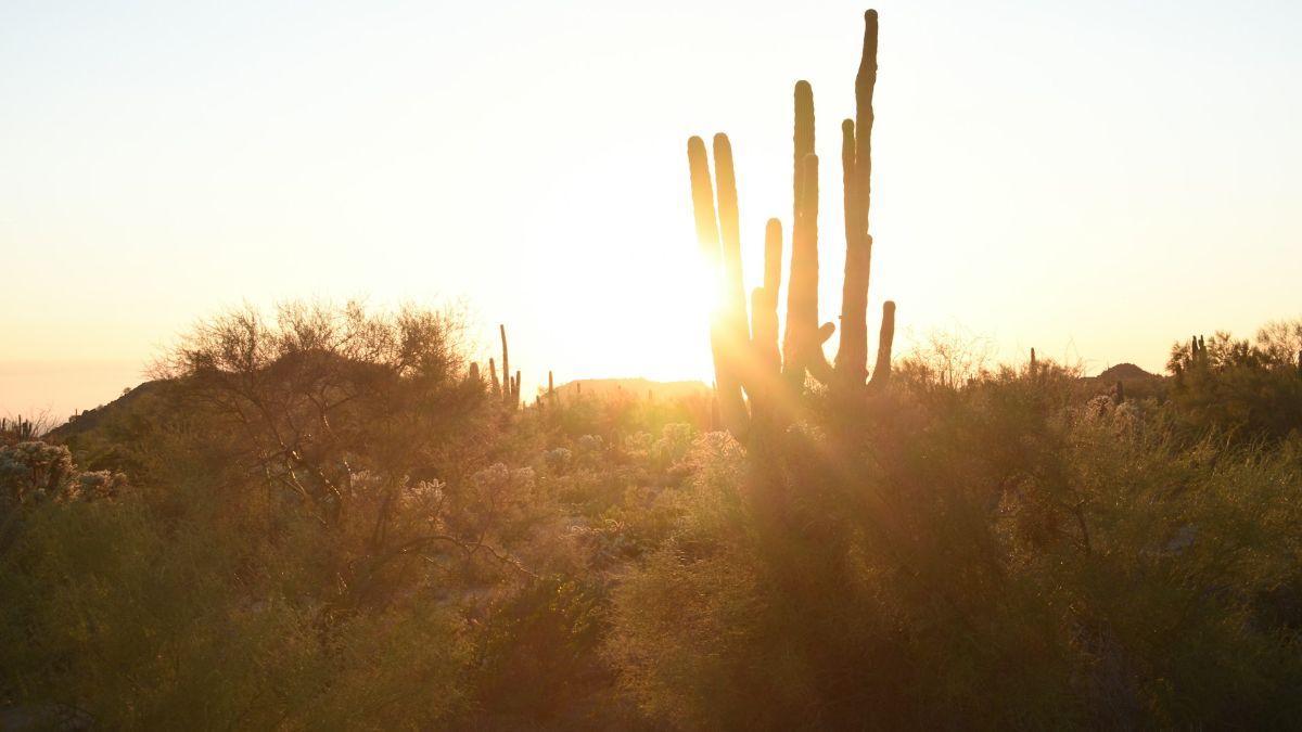 La Tierra retiene más calor del previsto y los modelos climáticos no saben explicarlo.