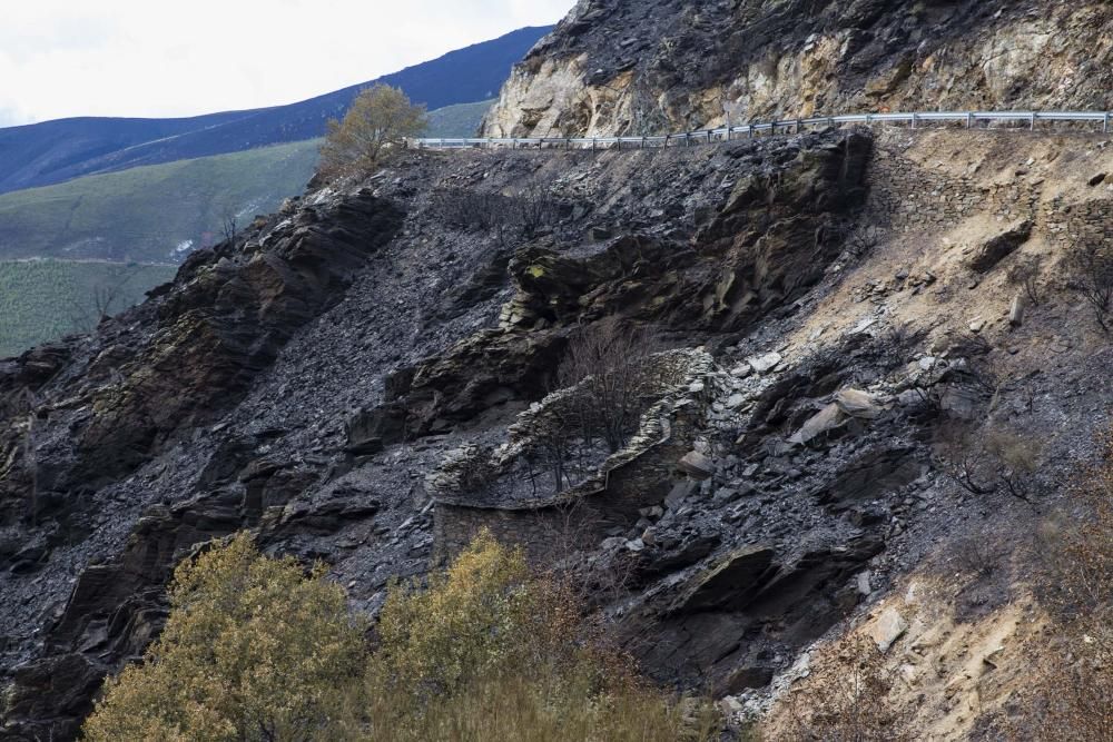 Desolación en el suroccidente asturiano tras los incendios