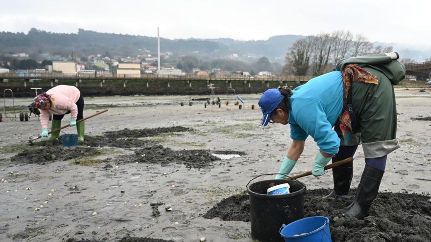 La campaña de marisqueo, abocada a zozobrar: “Vemos la playa bastante mal”