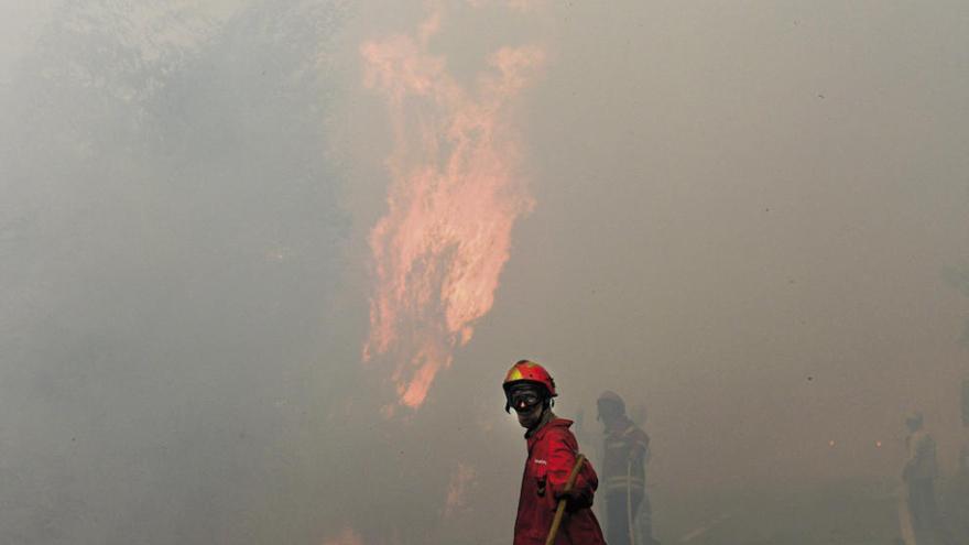 Varios bomberos tratan de controlar un incendio en Portugal. // Efe