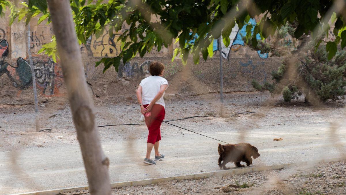 La Policía Local controlará el paseo de los perros