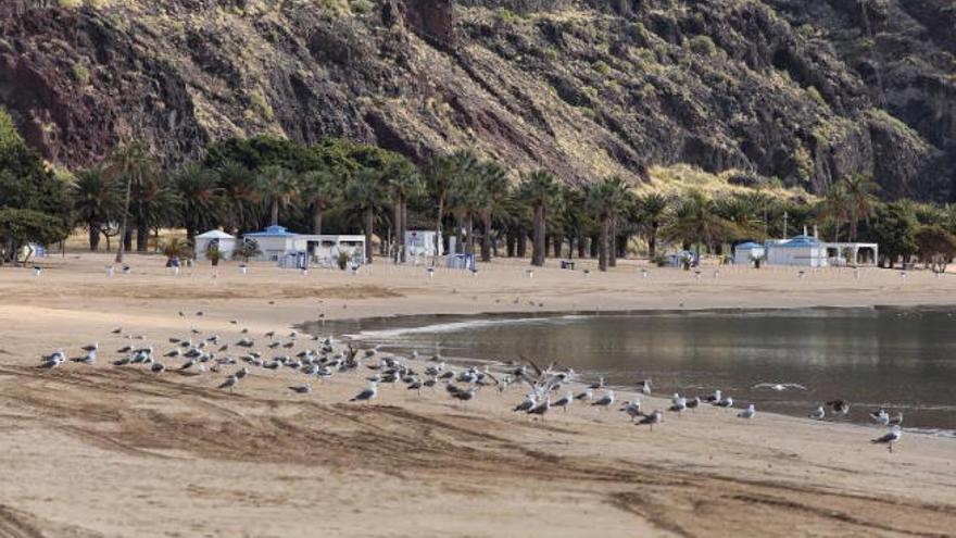 La playa de Las Teresitas vacía.