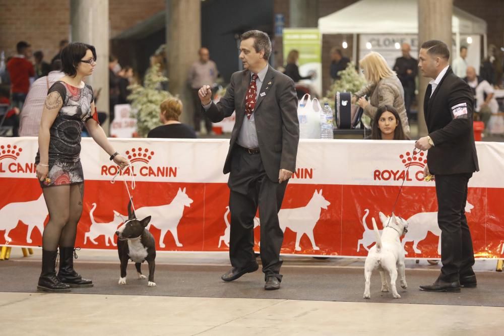 XXI Exposició Internacional Canina