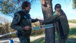 Collserola tancarà aquest dijous per a la ciutadania de Barcelona: el Govern assetja 500 senglars per la pesta porcina