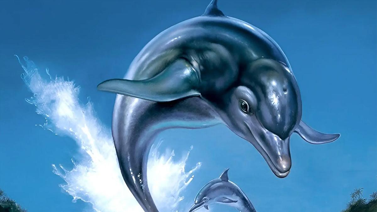 Ecco the Dolphin