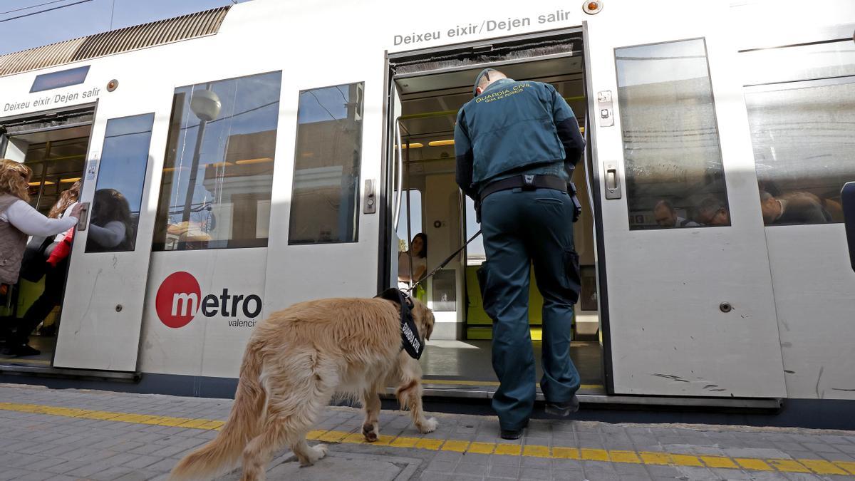 Un perro de la Guardia Civil busca artefactos explosivos en el metro de Paiporta