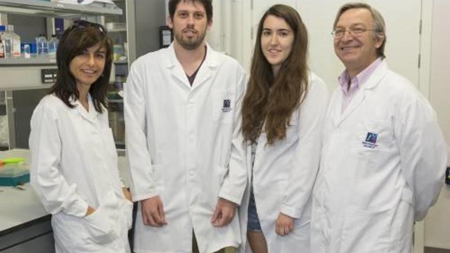 Descubren la acción de una proteína sobre las neuronas dañadas por el alzhéimer