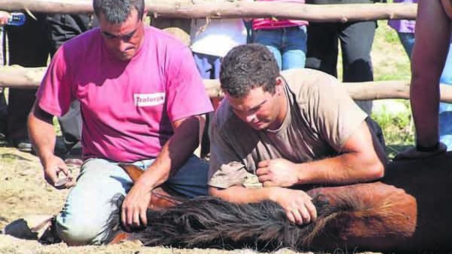 Un momento de la rapa del último año// Gonzalo Núñez