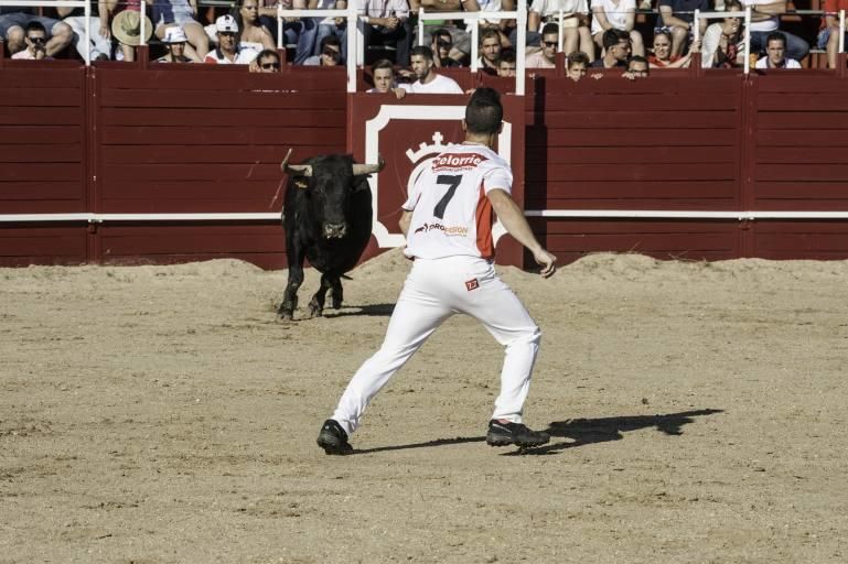 Concurso de cortes en la Plaza de Toros de Benaven