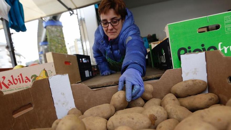 Galicia extiende la cuarentena de la patata de ocho a 31 municipios