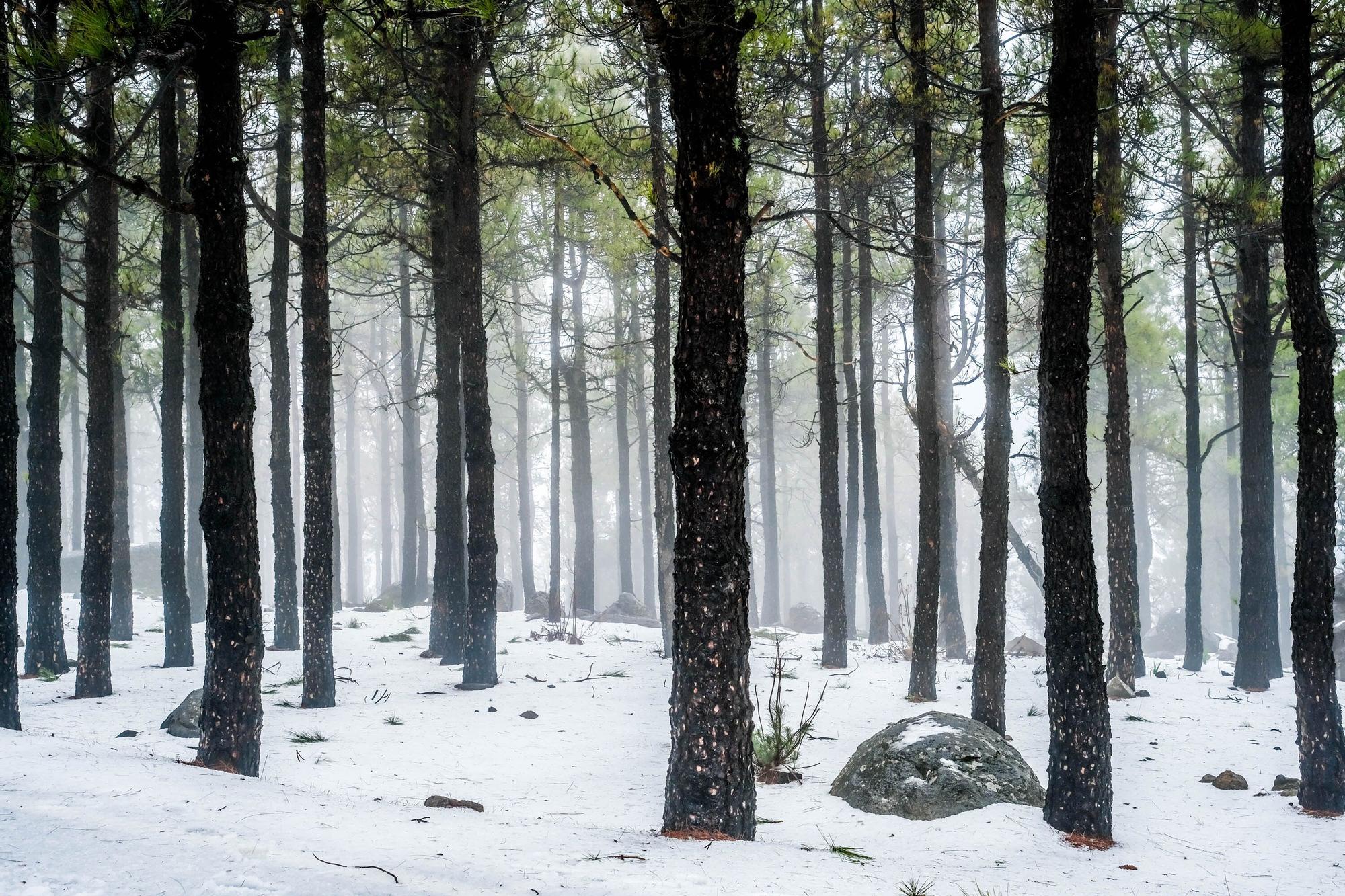 Nieve en la cumbre de Gran Canaria (15/03/2022)