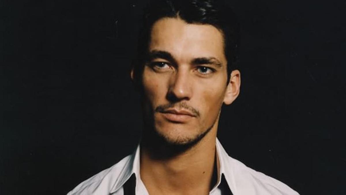 mrocagente el modelo david gandy140923173214