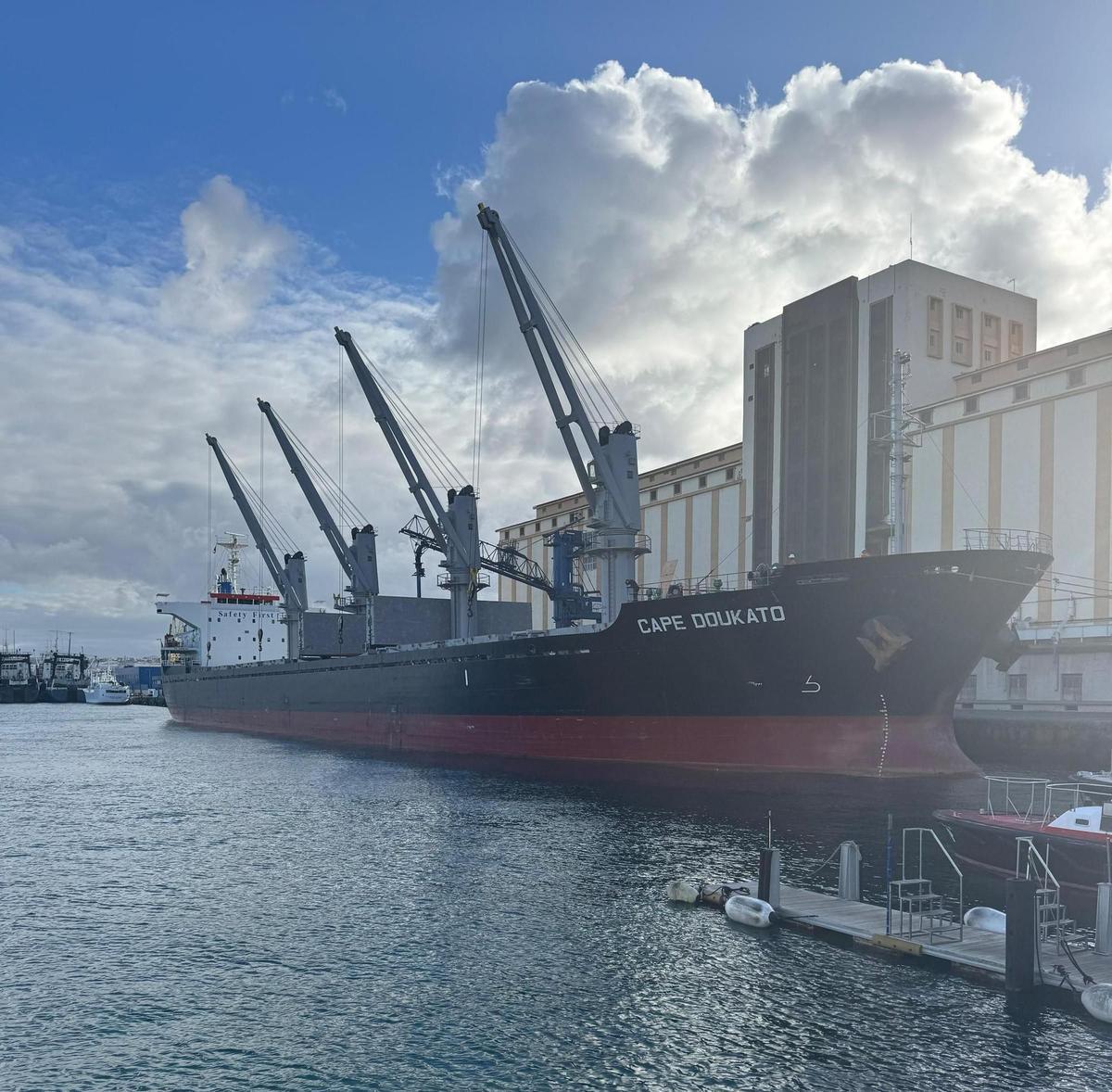 El buque 'Cape Doukato' atracado en el Puerto de Las Palmas, delante de las instalaciones de Silos Canarios