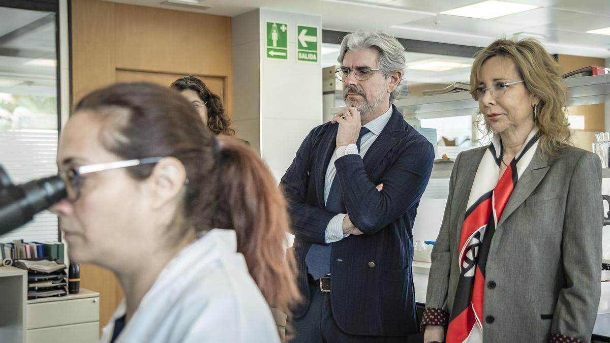 El secretario autonómico de Industria visita Laboratorios Tecnológicos de Levante para conocer su último proyecto de Innovación premiado internacionalmente