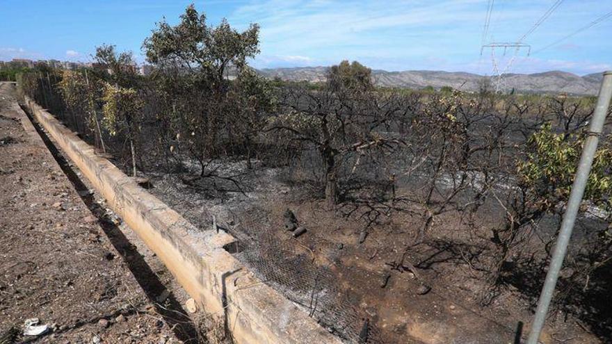 Muy grave un hombre al quemarse el 80% del cuerpo en un huerto de Castelló