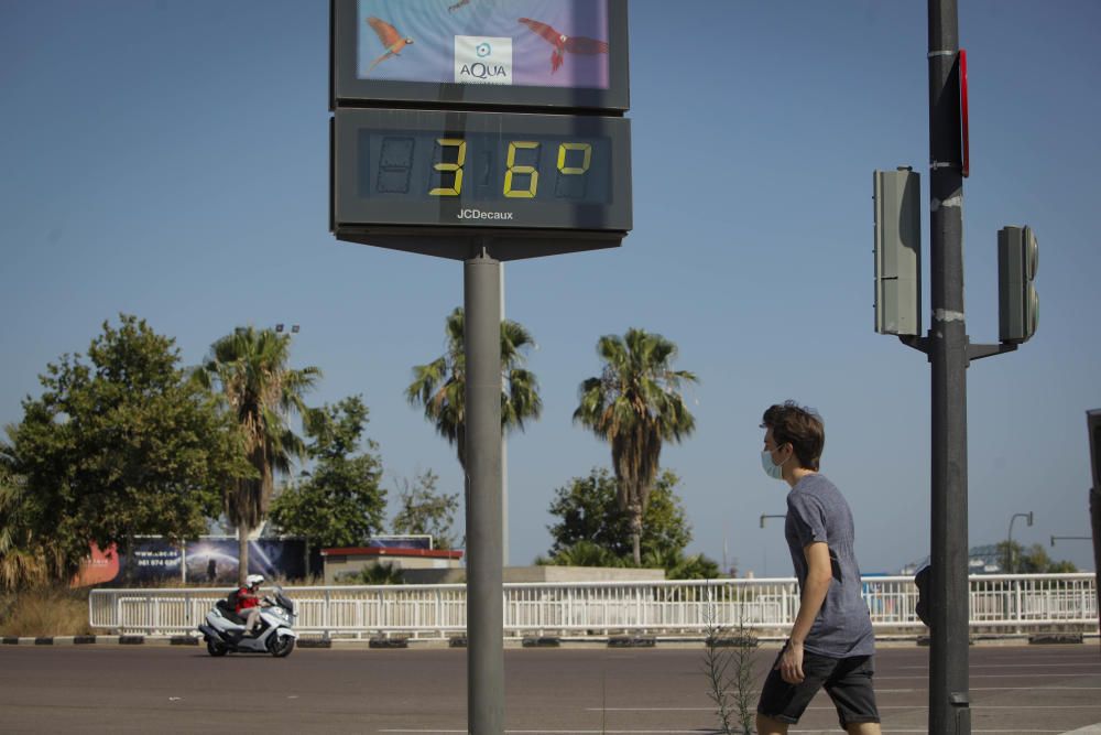 Parques y jardines para aliviar las altas temperat