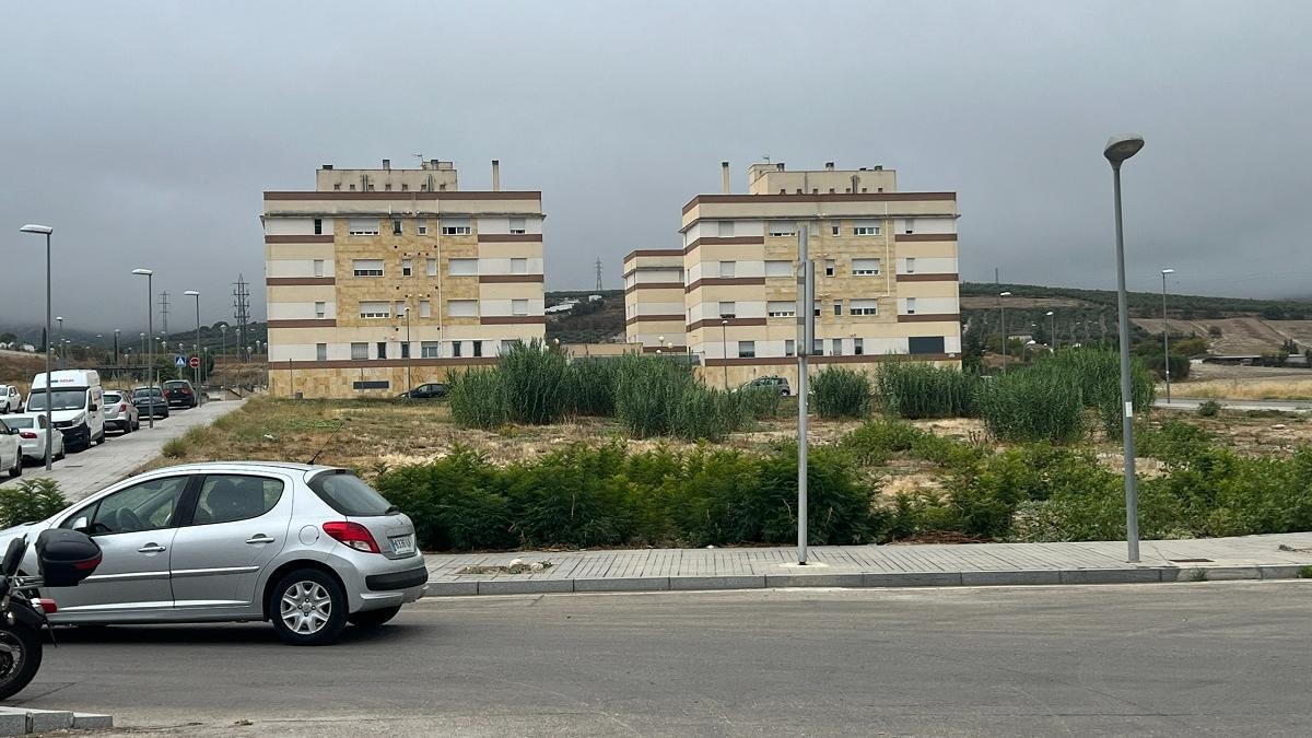 Edificios de la urbanización El Zarpazo, una de las zonas afectadas.
