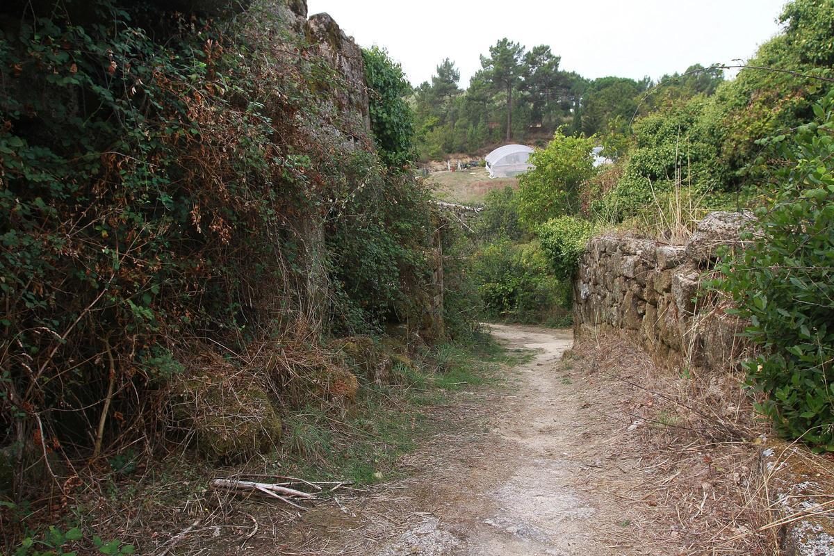 El camino que lleva al río de Barbadás donde apareció el cadáver.