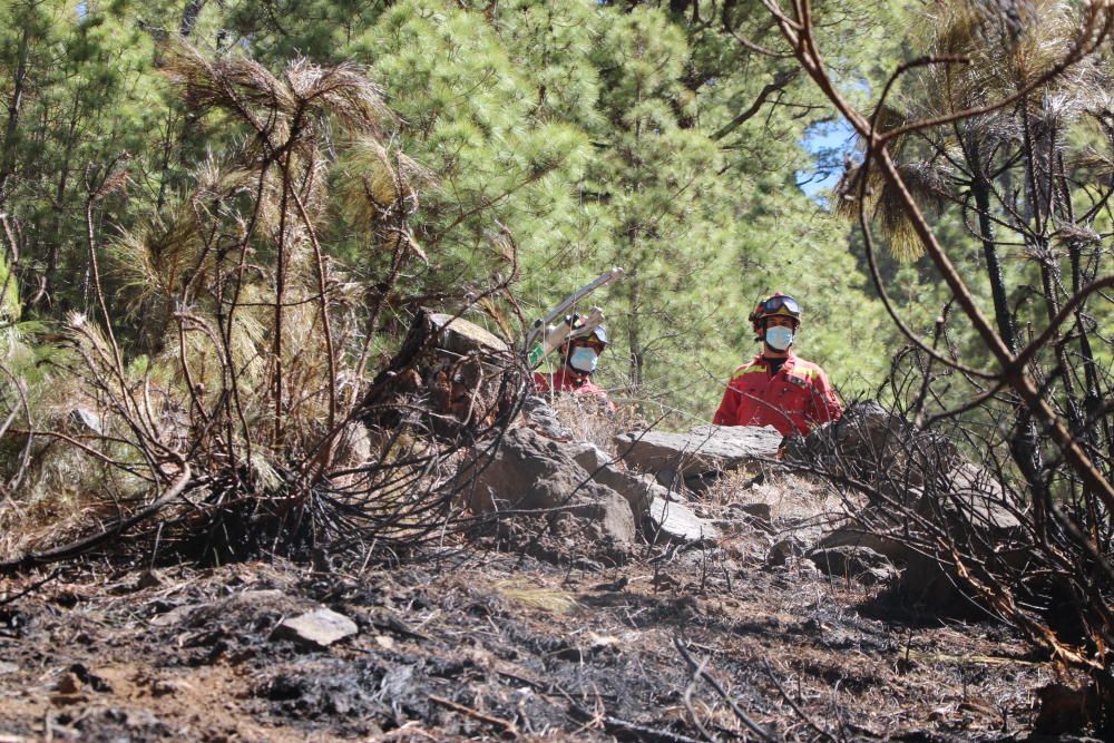 Incendio en Garafía | Domingo