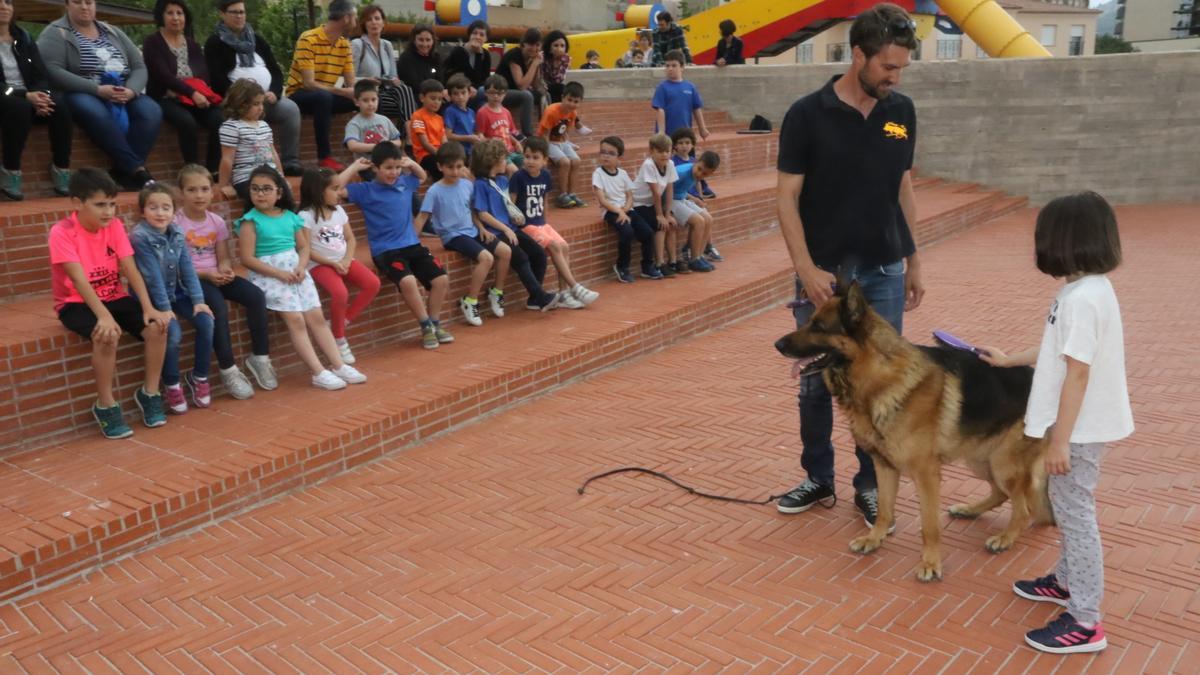 También suelen hacer actividades junto a los niños.