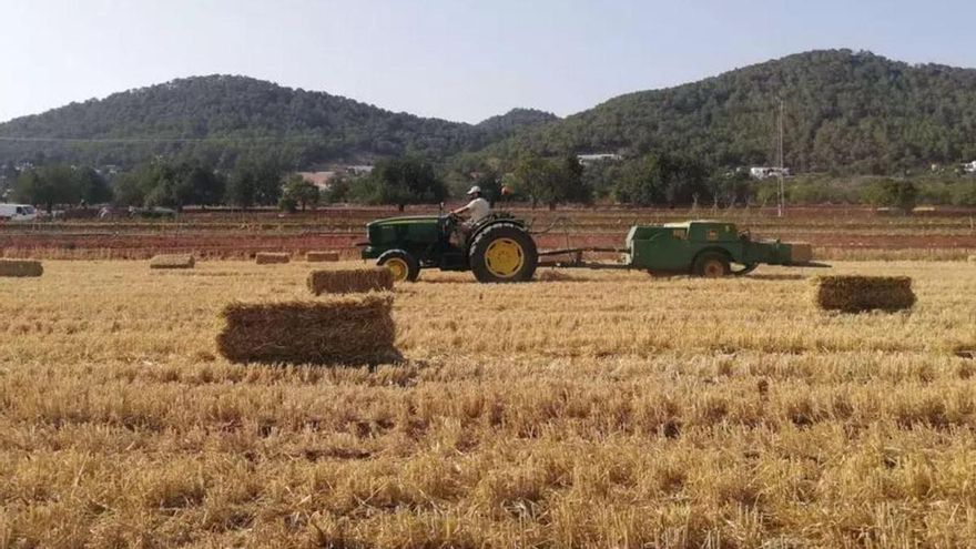 La Cooperativa del Campo de Formentera recibe 75.000 euros del Consell Insular